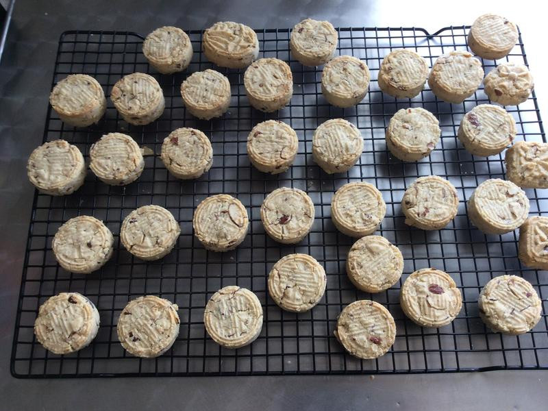 ���������V������