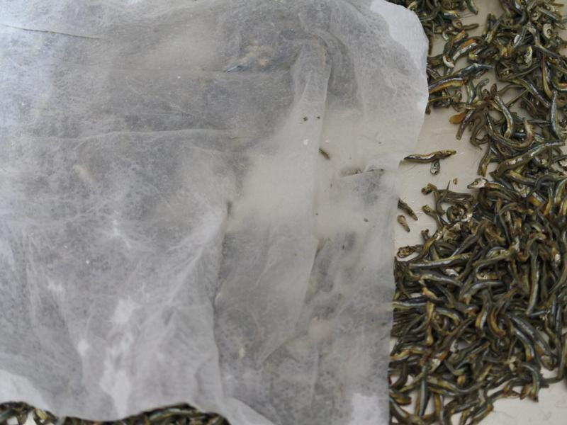 ����ը����֭����С��ɵ�����