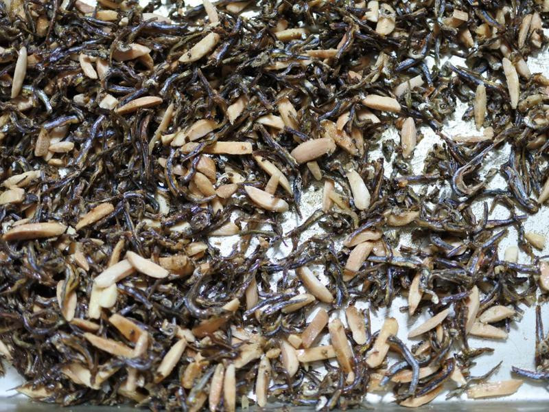 ����ը����֭����С��ɵ�����