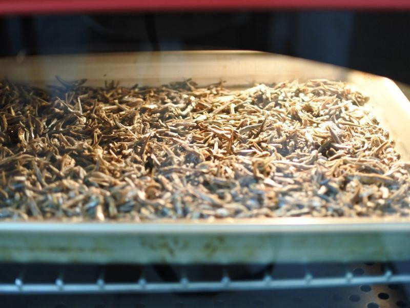 ����ը����֭����С��ɵ�����