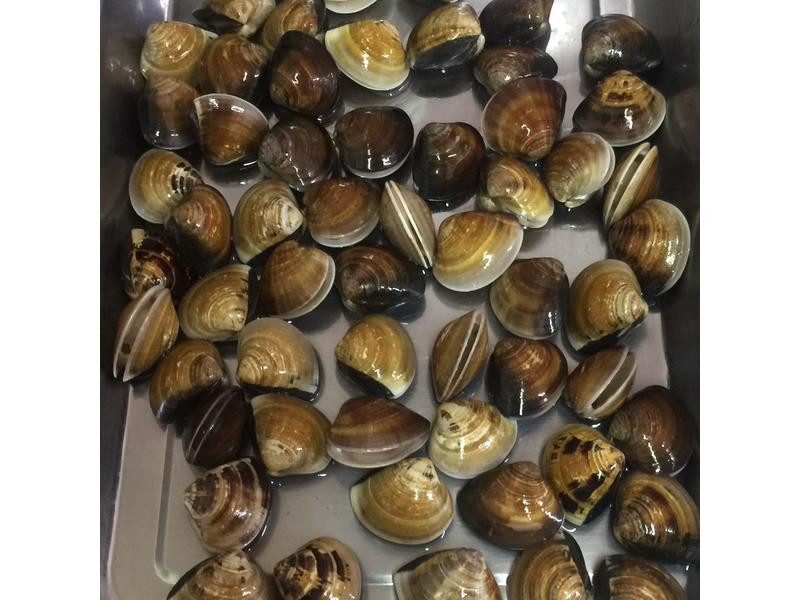 �̸��۵�����