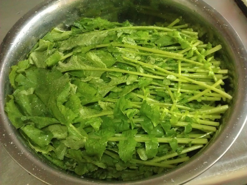 �����ܲ�Ҷѩ��������