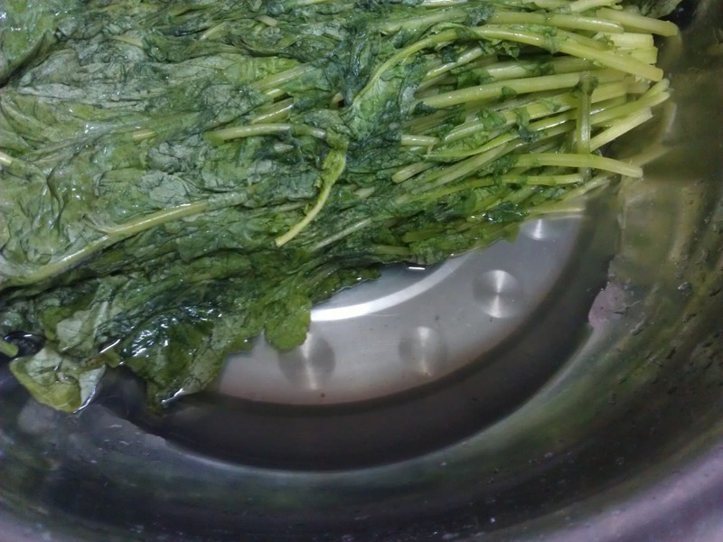 �����ܲ�Ҷѩ��������