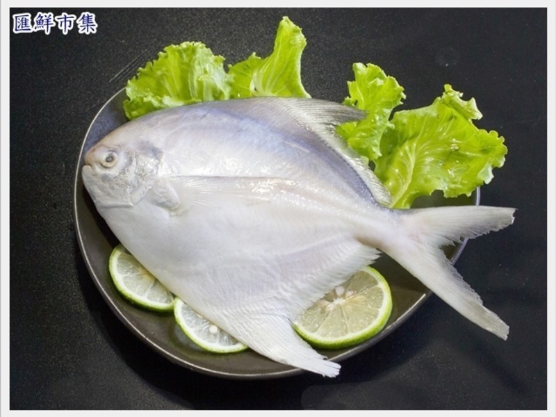 ����������õġ��������������