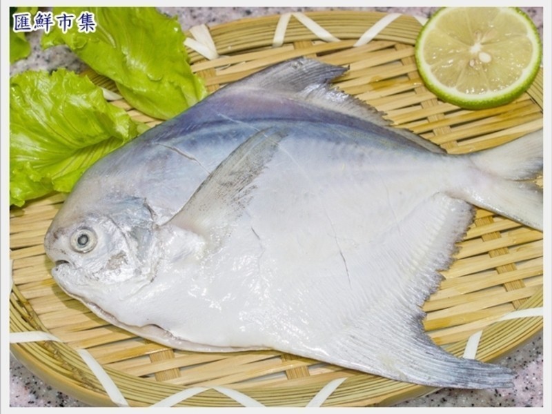 ����������õġ��������������