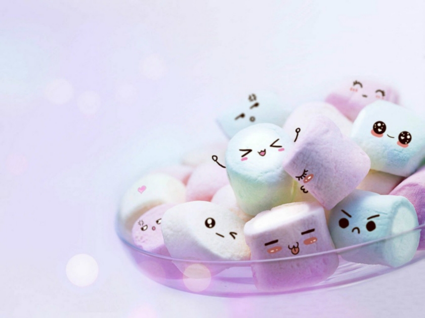 ��ʽ����������