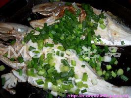 ����Ƥţ������