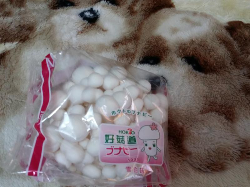 ѩ�׹����ϻ��������