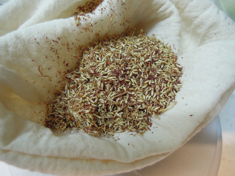 ̨ʽ����ʥƷ���������