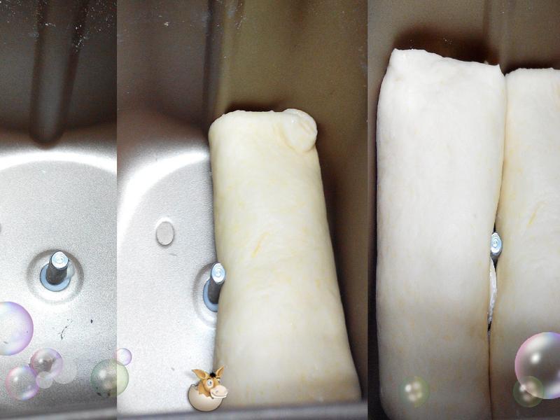 �Ϲ�������˾������ƪ��-�ѥ�ι��������������