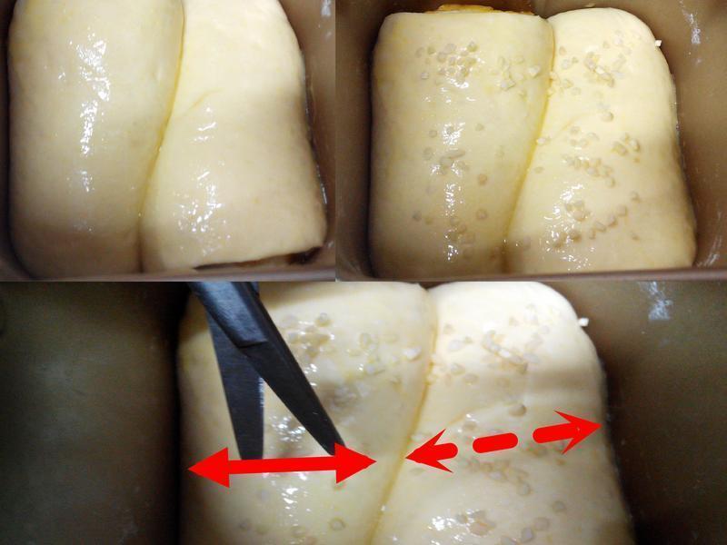 �Ϲ�������˾������ƪ��-�ѥ�ι��������������