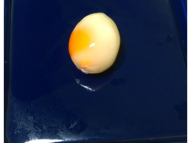 �䶳�������㽴�͵�����