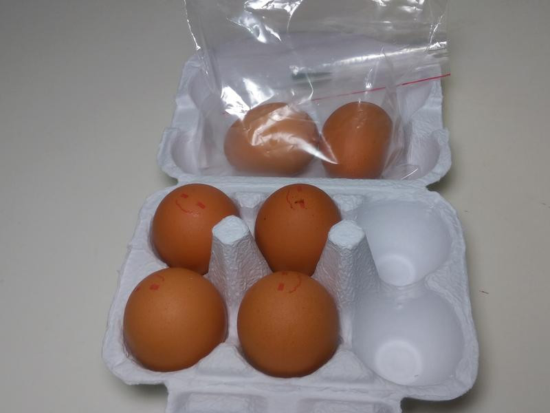 �䶳�������㽴�͵�����