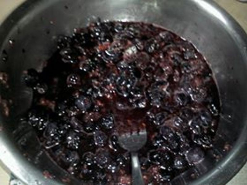 ��ʽ����ݮ������ܵ�����