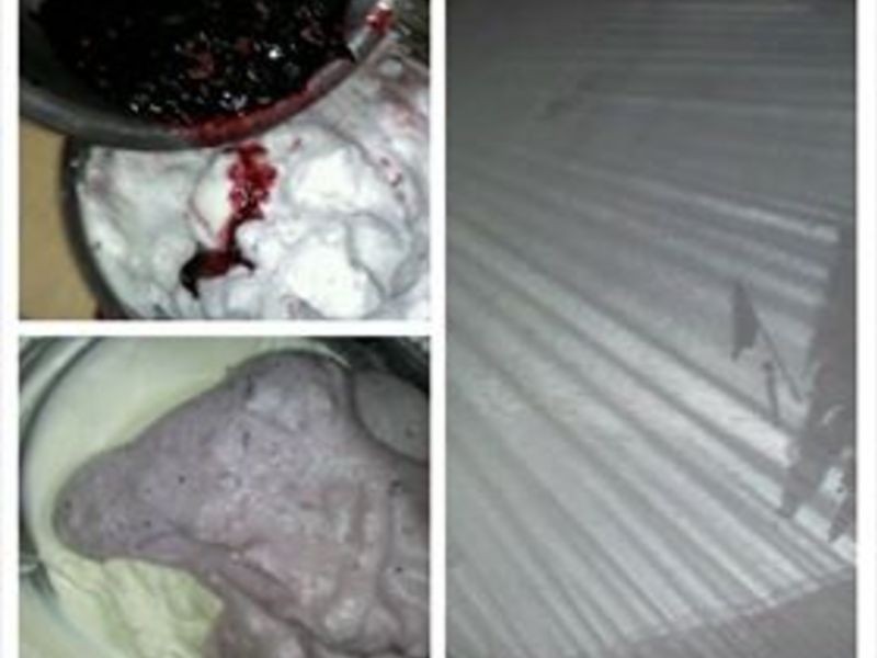 ��ʽ����ݮ������ܵ�����