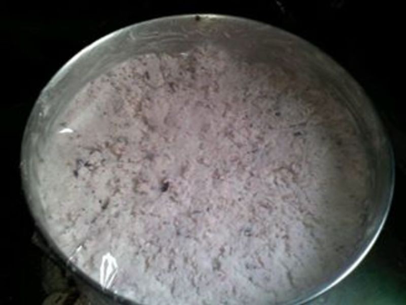 ��ʽ����ݮ������ܵ�����