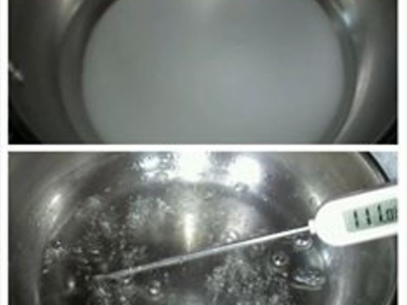 ��ʽ����ݮ������ܵ�����