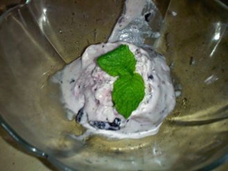 ��ʽ����ݮ������ܵ�����