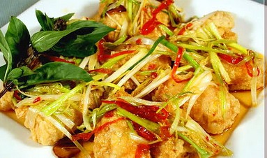 ����Ϻ����Ƭ��������