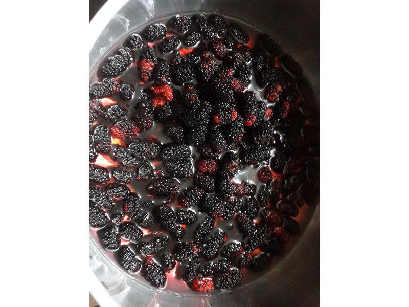 ��ɣ驴׵�����