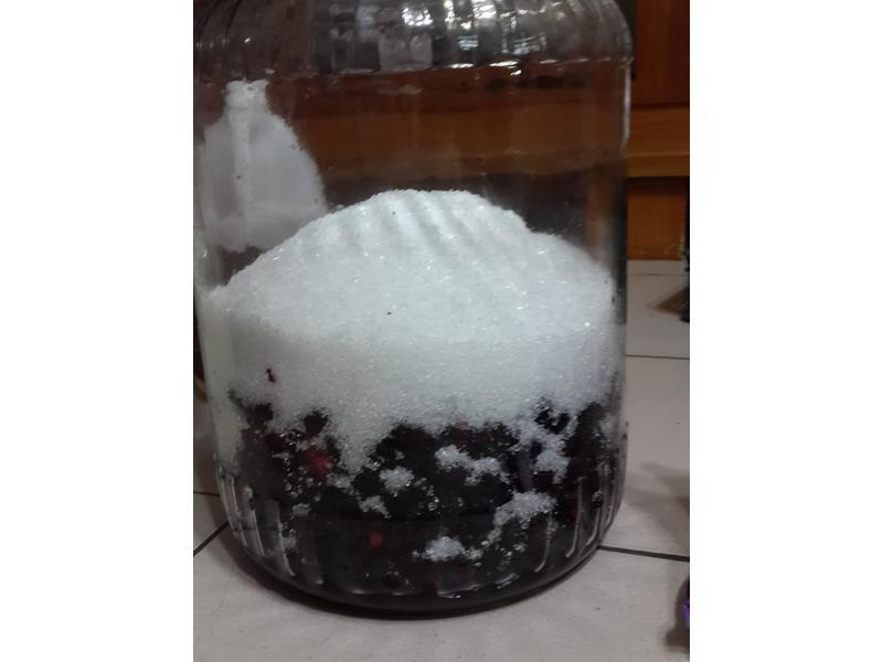 ��ɣ驴׵�����