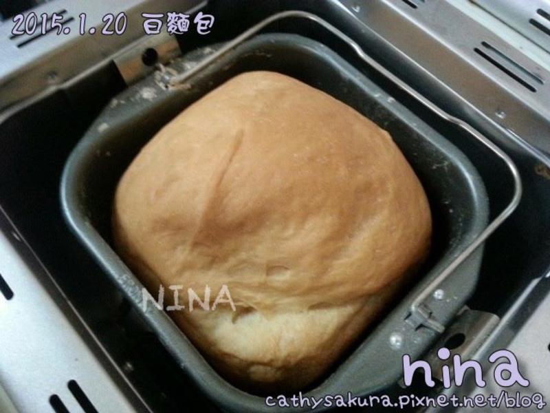 ��NINA��С�����������(by�����)������