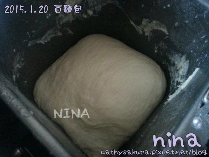 ��NINA��С�����������(by�����)������