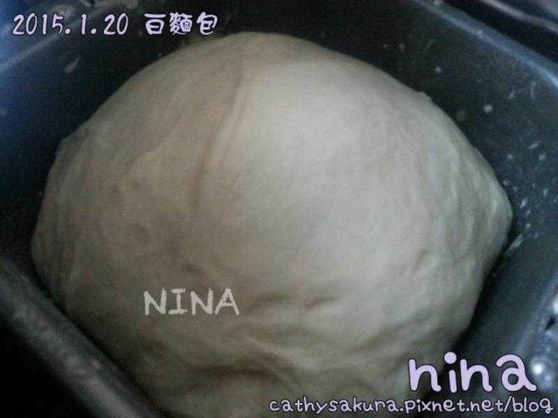 ��NINA��С�����������(by�����)������
