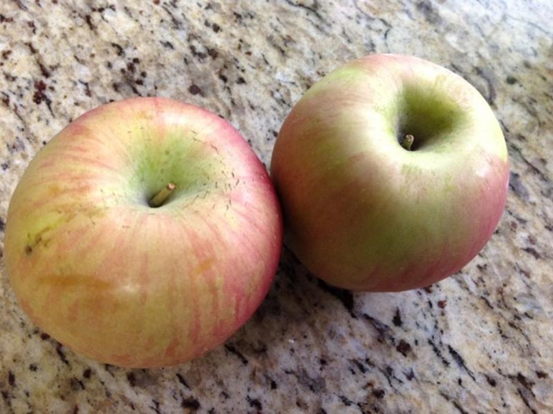 �����-������ƻ�������Խݮ���?!!!������