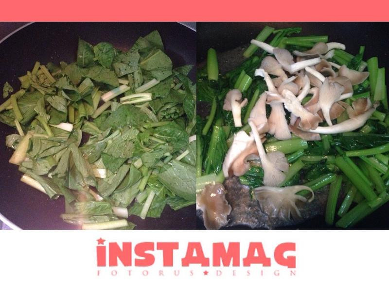 �Ͳ˳�ݬ�乽������