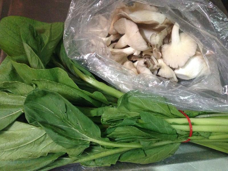 �Ͳ˳�ݬ�乽������