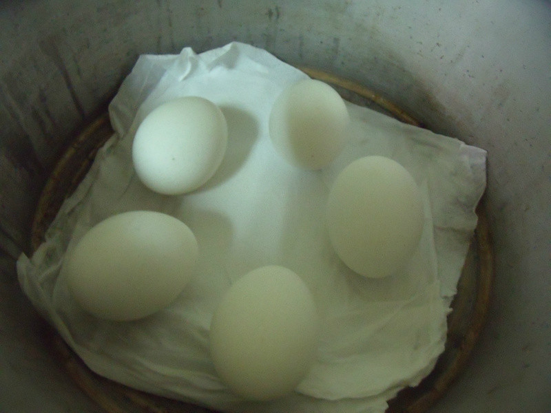 ����-����`��������