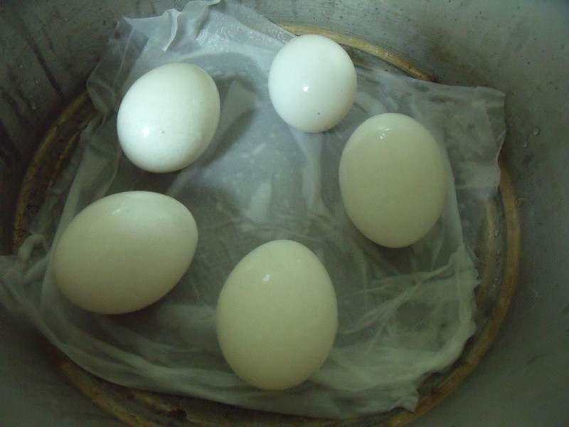 ����-����`��������