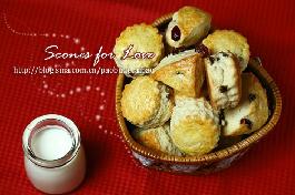 ����˾��������