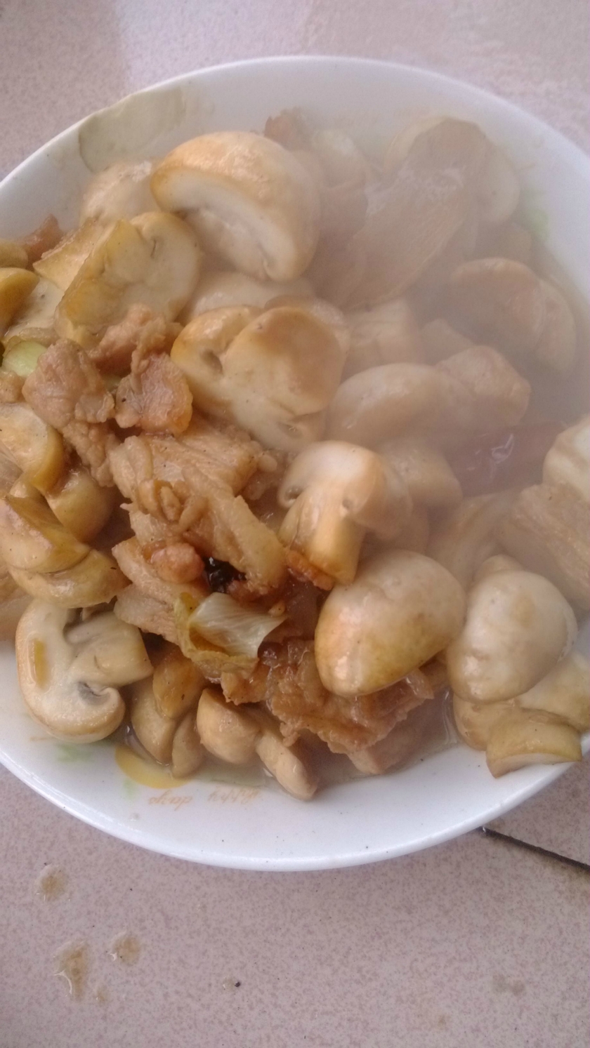 ��Ģ����Ƭ������