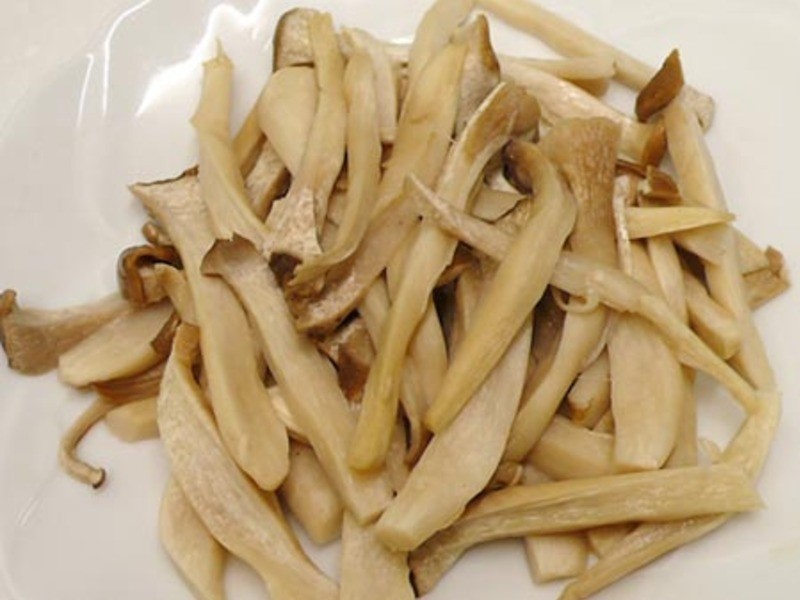 ѩ��쳴��˿ �����Թ�8��������