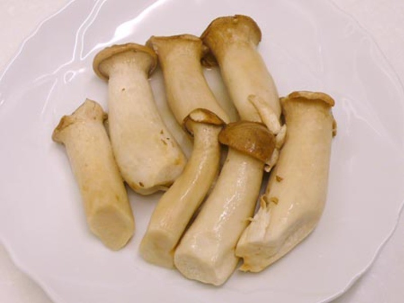 ѩ��쳴��˿ �����Թ�8��������