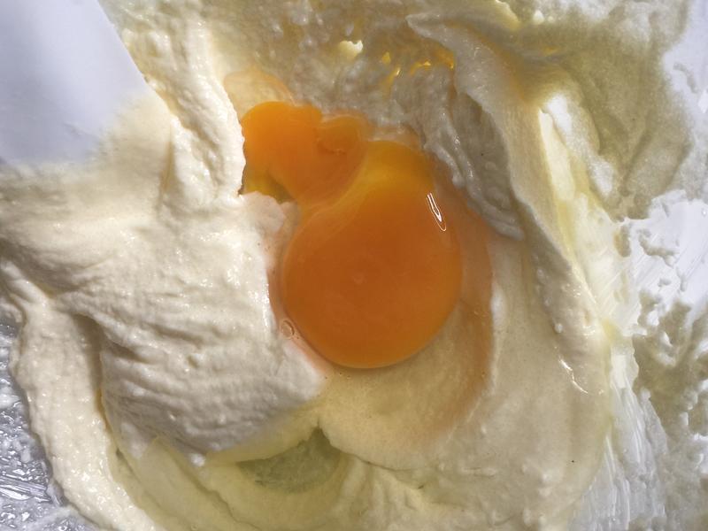 �����Ÿ�����������