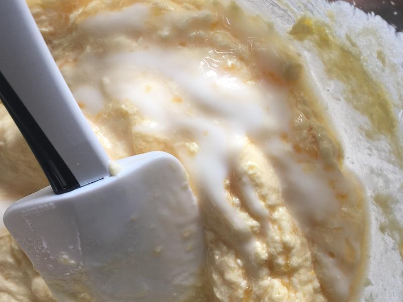 �����Ÿ�����������