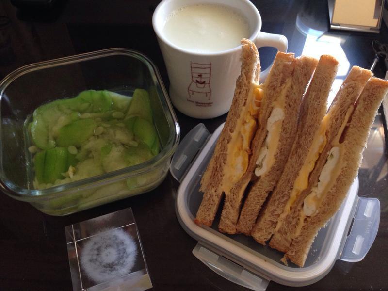 ��˾�������ε�����