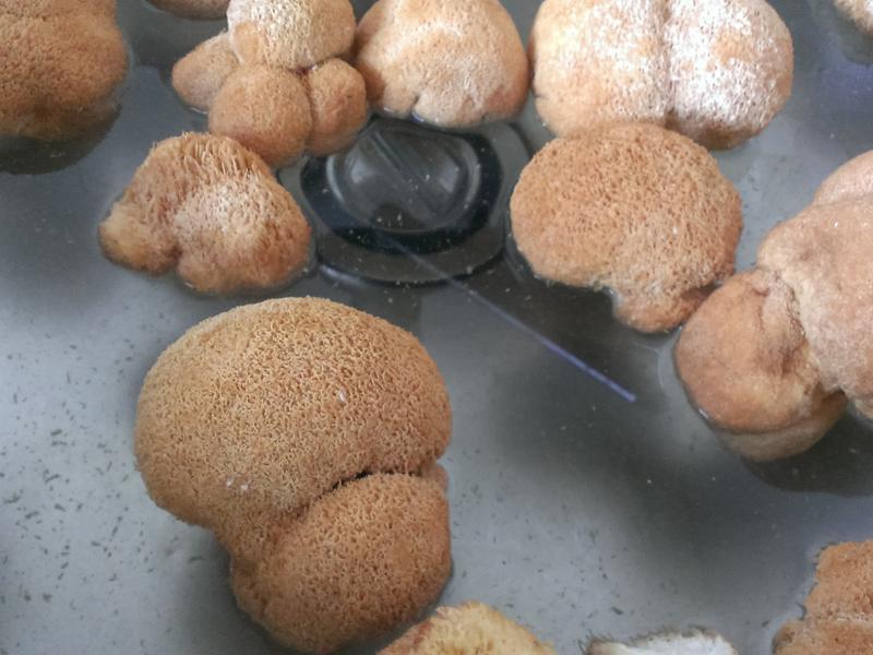 �����ͷ����������������