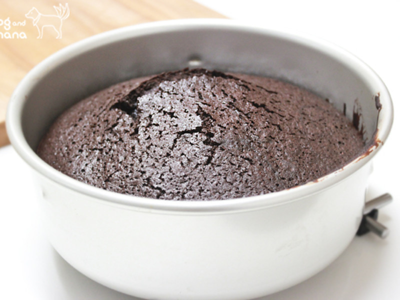 ������ɿ������������