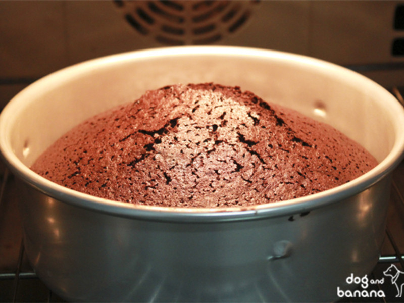 ������ɿ������������