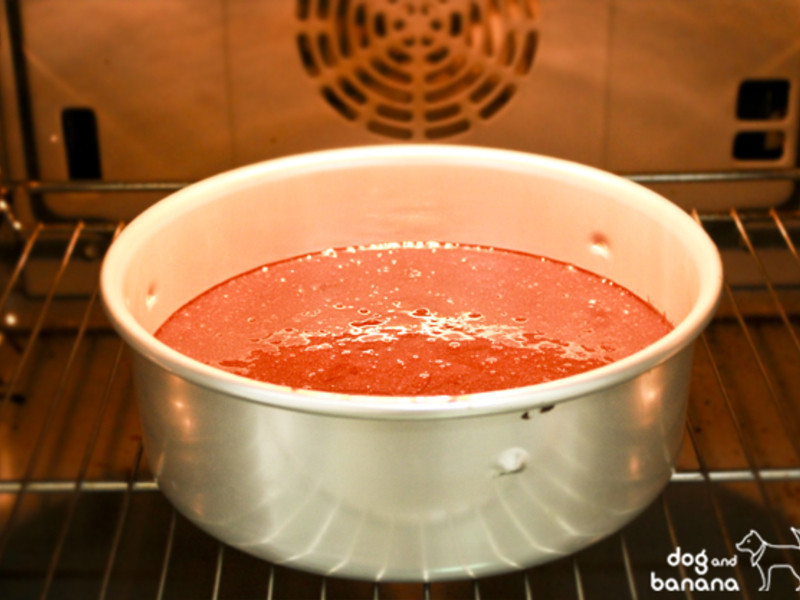 ������ɿ������������