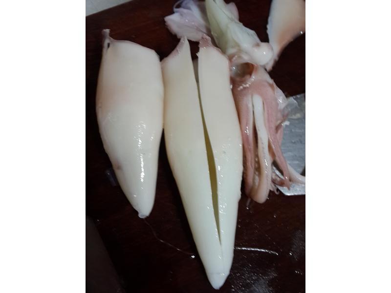 ��֭С��˿������