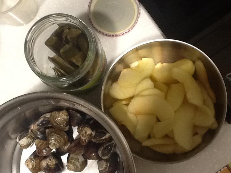 ƻ��������������