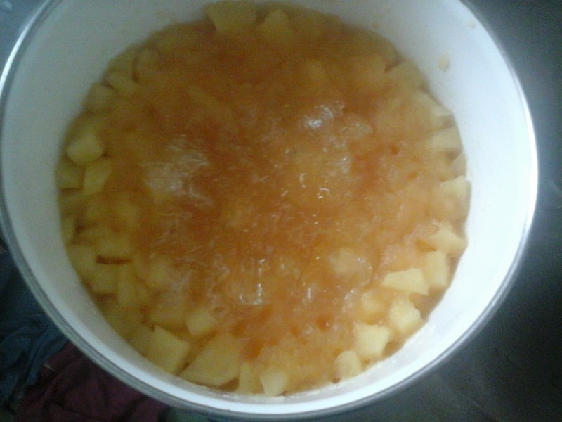 ����ƻ����ʿ��������