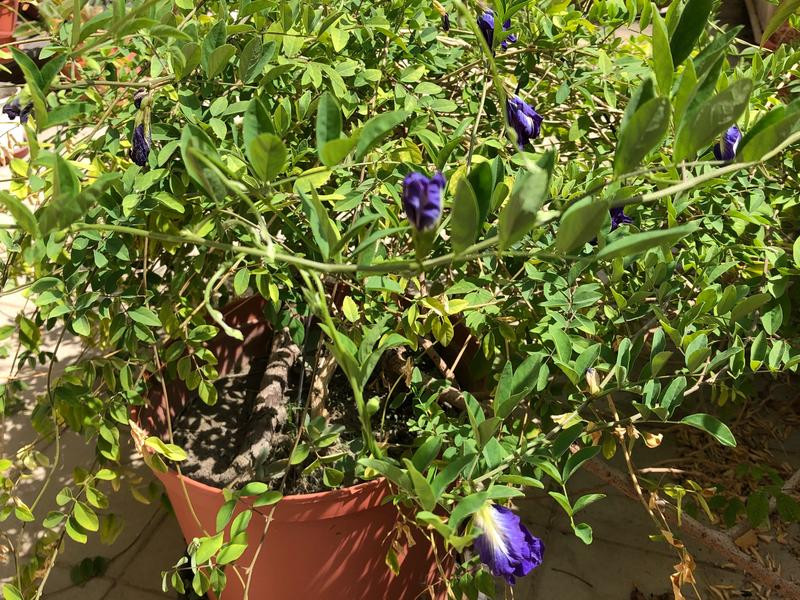 �λ������ѽ�����������