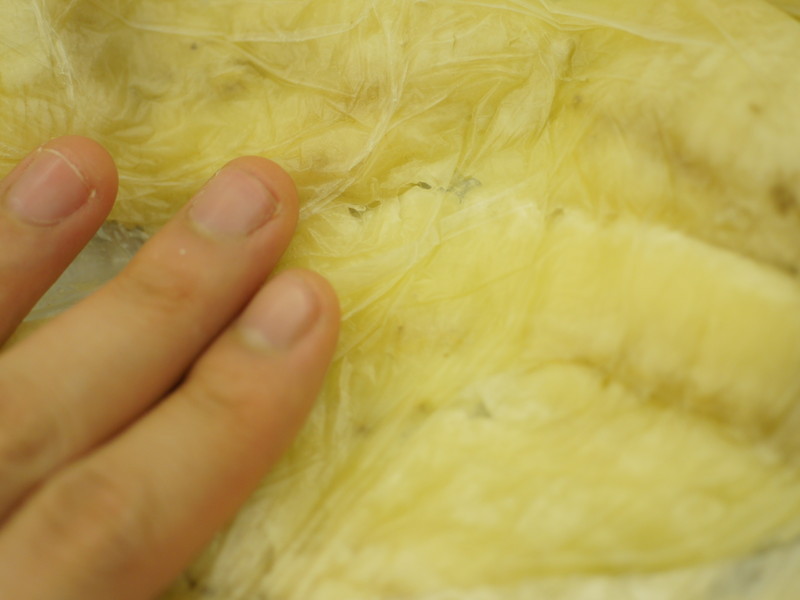 �ư��ǰ����㽶����! Chef Bo��s Banana Bread������