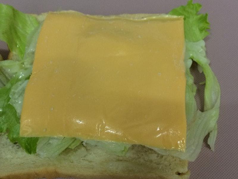 ��������ɳ�������ε�����